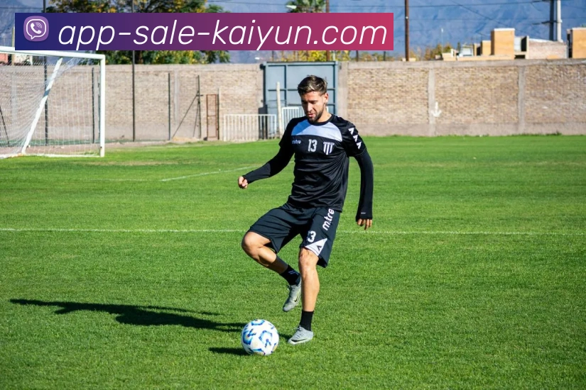 开云app平台生态图