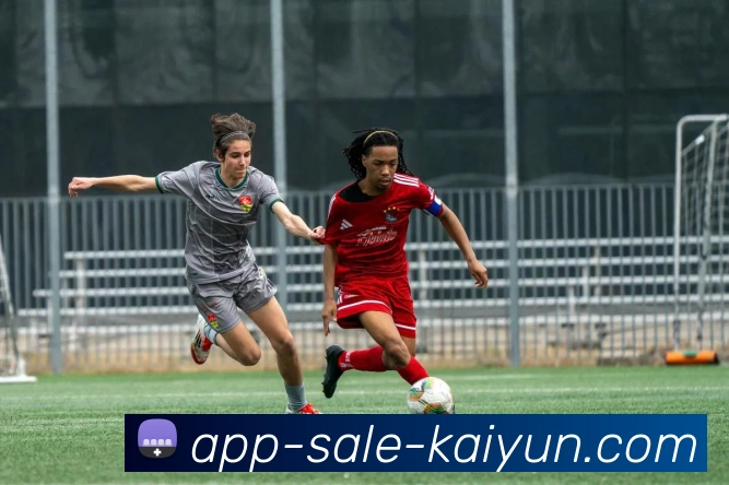 开云appAPP 封面图